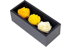 Khiva Preserved Roses in Box, 3 Yellow Birthday Flowers for Delivery Prime, Everlasting Flowers, Natural Forever Roses That Last for Years, Eternal Rose, Gift for Mom