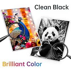 702XL Ink Replacement for Epson 702 702XL Ink