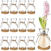 Bulb Glass Vases for Flowers Forcing Hyacinth Clear Decorative Bulb Vase with Round Bamboo Coaster for Home Office Table Decoration(12 Pcs)