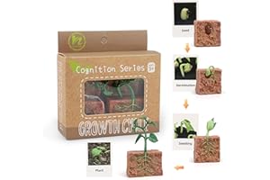 MIKNEKE Montessori Life Cycle Animal Figures with Flash Cards, Realistic Animal Figurines Toy, Animal Educational Matching Game for 3+ year old Toddlers Kids (Plant)