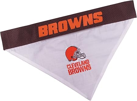 patterdale terrier puppies for sale near me