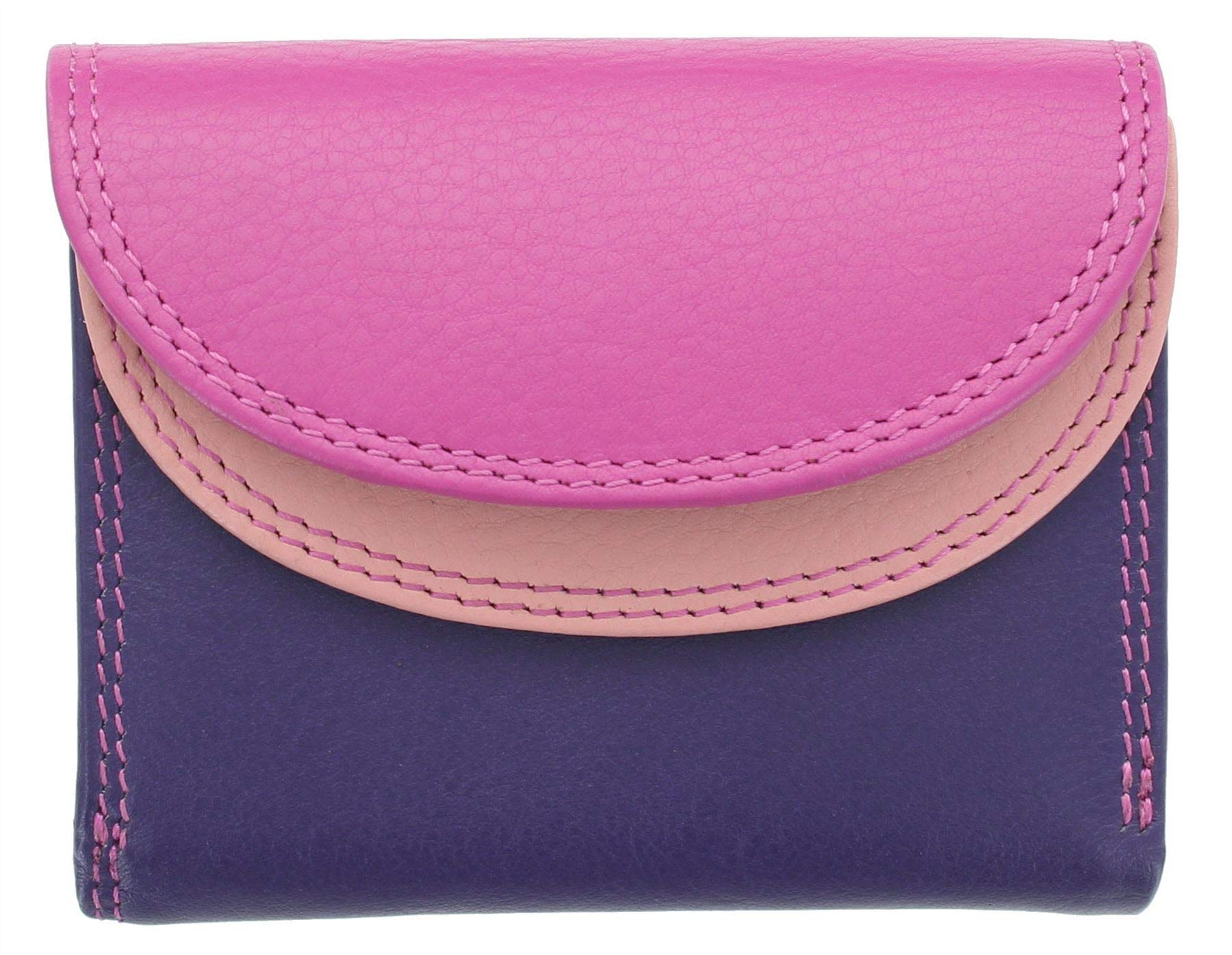 Visconti Rainbow Collection Small Leather Purse RFID and Tap and Go RB126 Berry Multi