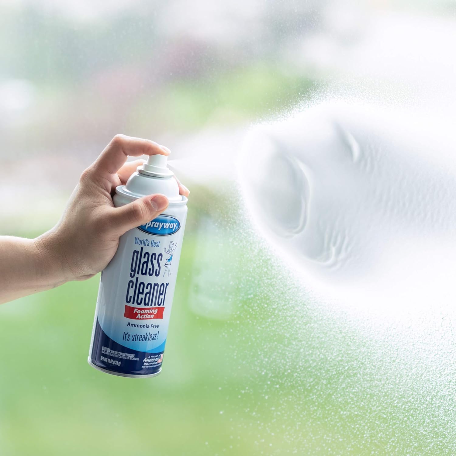 Sprayway SW053R Ammonia-Free Glass Cleaner, Foaming Action - Streakless Shine, 19 Oz: Health & Personal Care