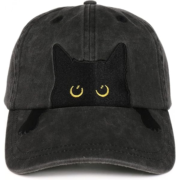 Childless Cat Lady Hat (Embroidered Dad Cap) Cat Face Hat Black at
