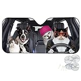 Suobstales Cat Entlebucher Sennenhund Car