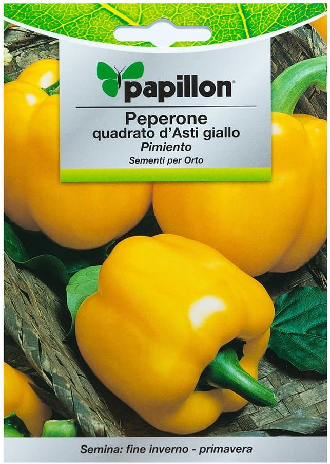 Semillas Pimiento Amarillo Cuadrado (1.5 Gramos): Amazon.es ...