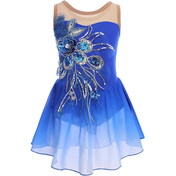 Amazon.com: Figure Skating Dress Girls Blue Velvet Women Ice Skating Dress  Competition Performance Long Sleeve : Clothing, Shoes & Jewelry