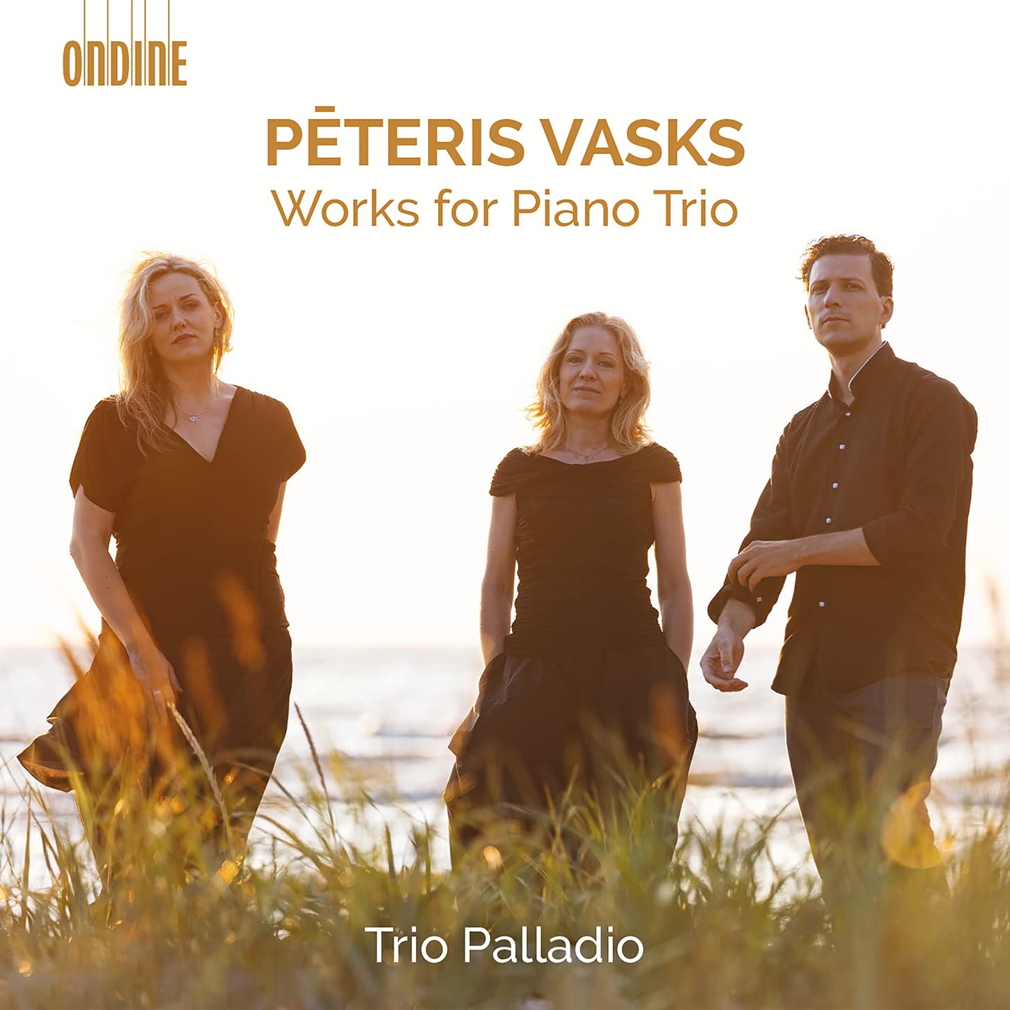 P?teris Vasks: Works for Piano Trio