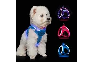 FEYCIG Light Up Dog Harness,Step in Dog Harness for Small Medium Sized Dog,No Pull Reflective Dog Vest Harness 360° High Visibility,LED Blue Dog Harness Rechargeable for Night Walking