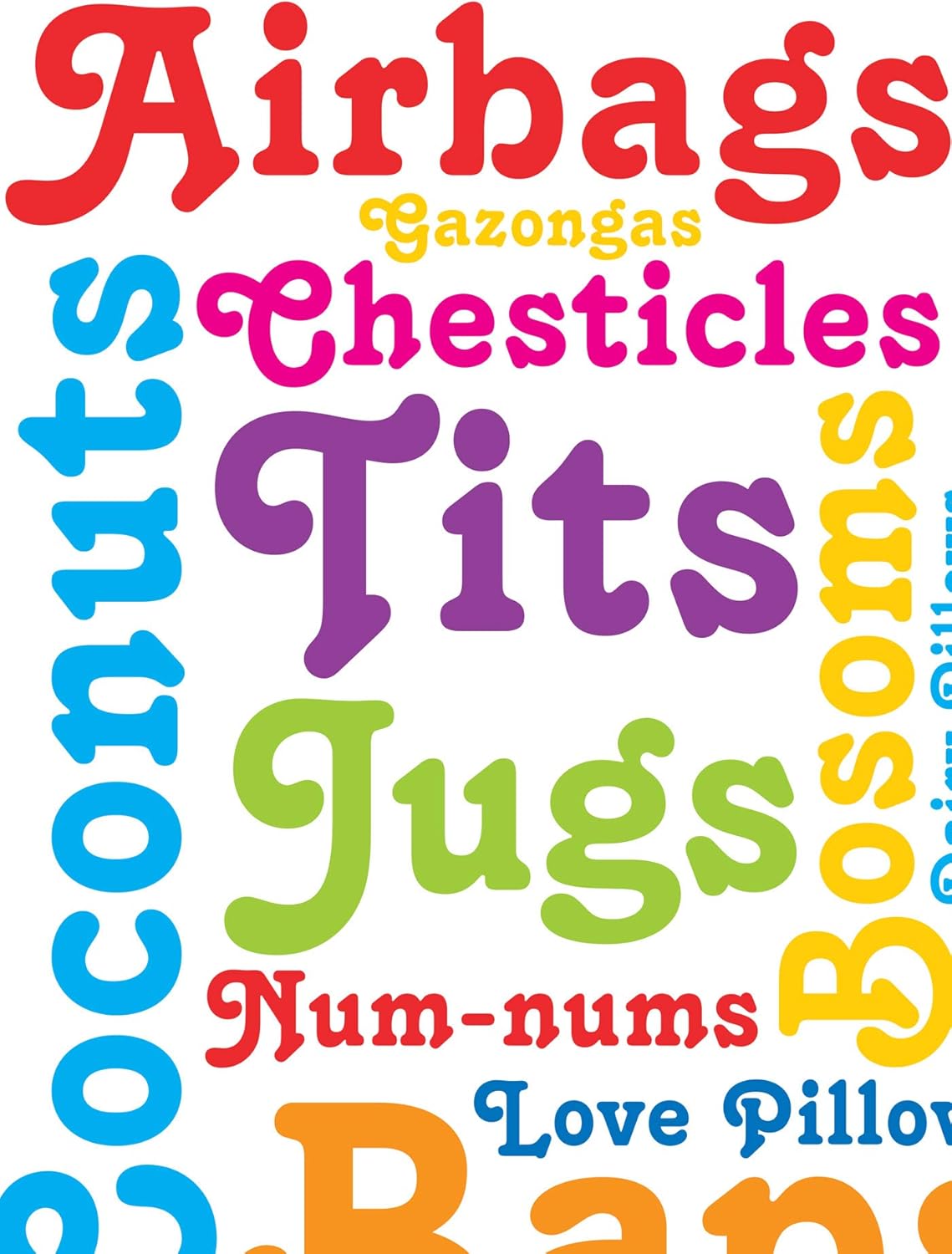 Brainbox Candy, 2 Sheets of Funny Rude 'Boob Words' Birthday Wrapping Paper - Image 3