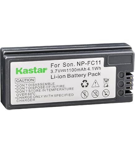 Amazon.com : Kastar 2-Pack NP-FC11 Battery 3.7V 1100mAh