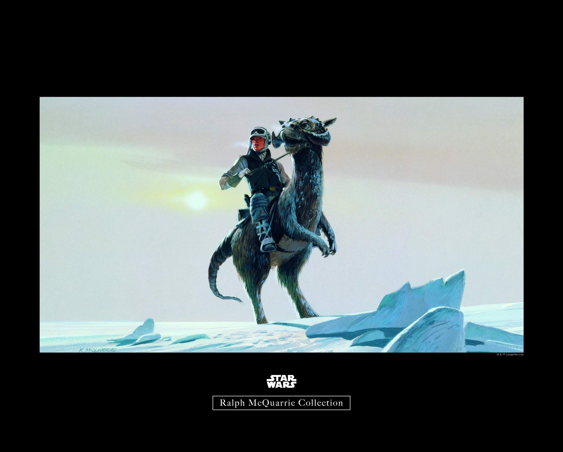 Komar Wall Picture Star Wars Classic RMQ Hoth Tauntaun Children's Room Art Print Without Frame Available in 3 Sizes, Colourful, WB149-50x40