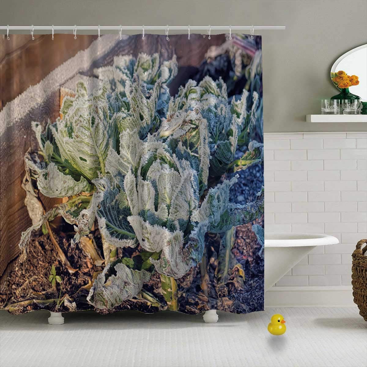 YOLIYANA Frozen Cabbages Vegetable Garden Winter Shower Curtain Cactus Shower Curtain,Raised Beds Cold Sunlight,71''Long x 71''Wide