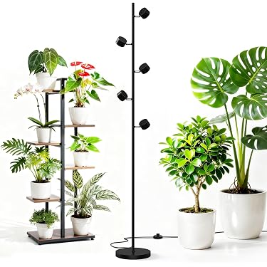 anthurium arrow flower Arrow Plant: Anthurium - 10