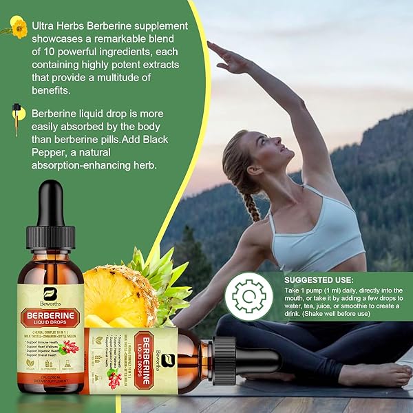 BERBERINE SUPPLEMENT WITH CEYLON CINNAMON – BERBERINE LIQUID DROPS WITH TURMERIC CURCUMIN, CEYLON CINNAMON, BITTER MELON, BERBERINE PHYTOSOME FOR DIGESTION SYSTEM, IMMUNE HEALTH SUPPORT -VEGETARIAN