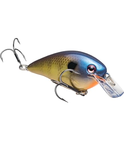 Amazon.com: Bluegill