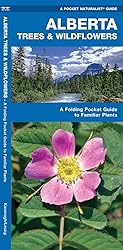 Alberta Trees & Wildflowers: A Folding Pocket Guide
