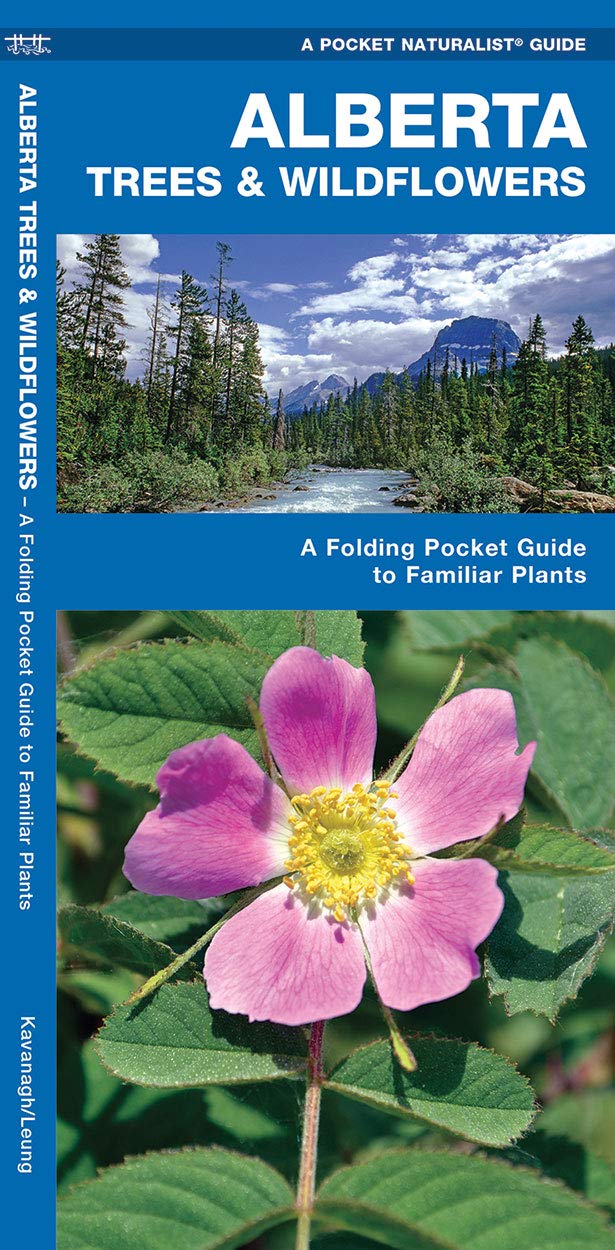 Alberta Trees & Wildflowers: A Folding Pocket Guide