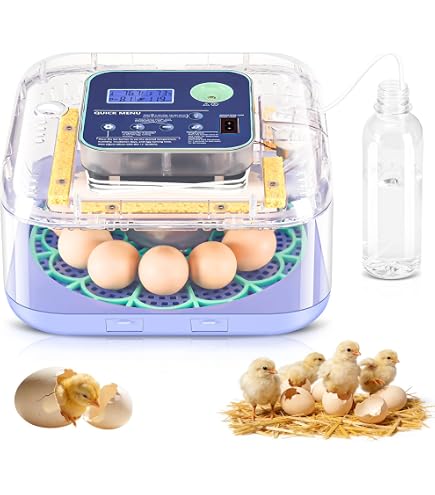 Amazon.com: 18-33 Egg Incubator for Hatching Eggs, Automatic Egg