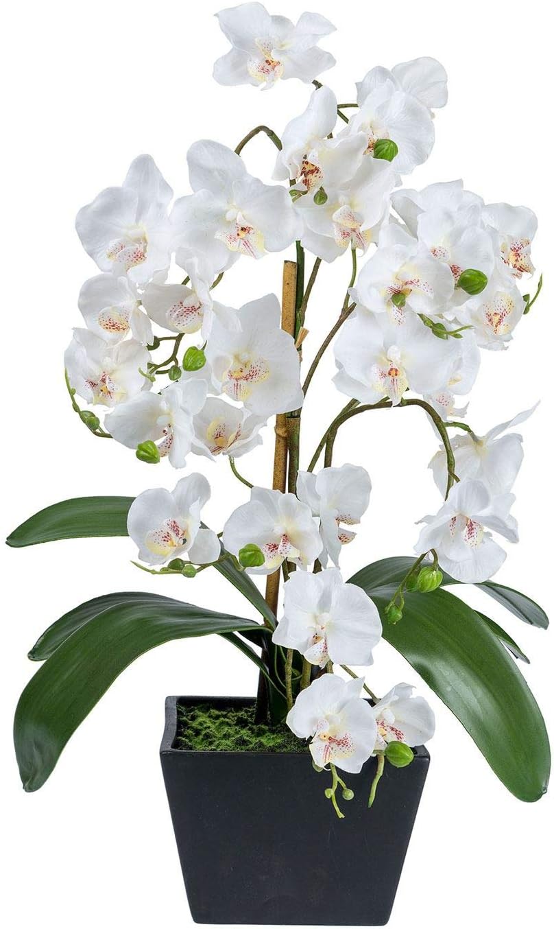 Homescapes Large White Artificial Orchid with Lifelike Silk Flowers and