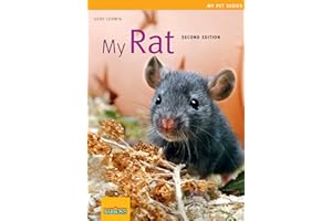 My Rat (My Pet Series)