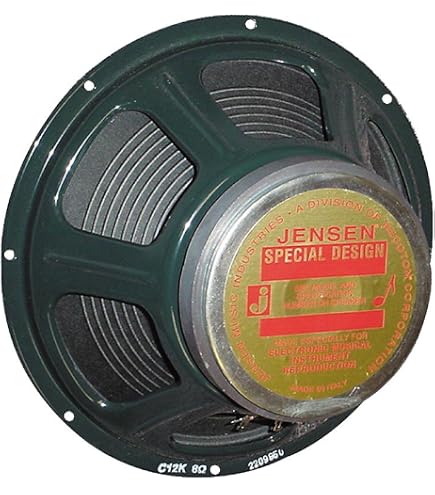 Jensen Vintage P10R8 10-Inch Alnico Speaker, 8 ohm : Amazon.ca