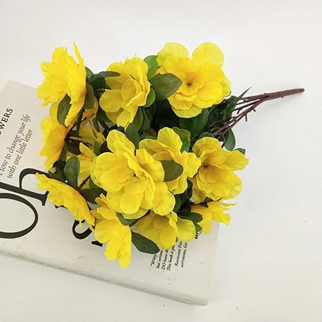 Images Na Ssl Images Amazon Com Images I 71ffwt