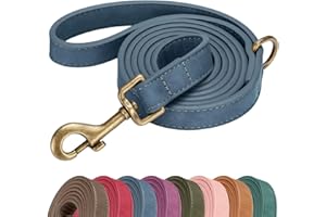 Didog Stylish PU Leather Dog Leash for Medium Dogs, Easy to Clean 5ft Dog Leashes for Large Dogs, Fashionable and Elegant for Walking, Running and Training,Blue, M