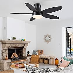 BYKISTOK 48 Inch Ceiling Fan with Light, Black
