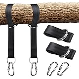 Schaukel baum Schaukel baum