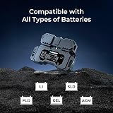 Renogy Shunt 300A with Built-in Bluetooth Battery Monitor view 5