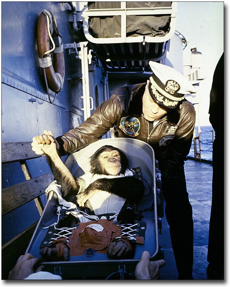 1st American Astronaut Ham The Chimp 8x10 Silver Halide Photo Print