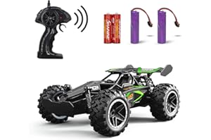 DoDoMagxanadu Remote Control RC Cars, 1:18 2WD Monster RC Truck High Speed Racing Car, Easter Basket Stuffers Toy Cars for Boys and Girls Gifts for Kids(Black Green)