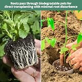 Lotvic 100x 8cm Biodegradable Seed Pots & Labels, Widger Dibber Set view 5