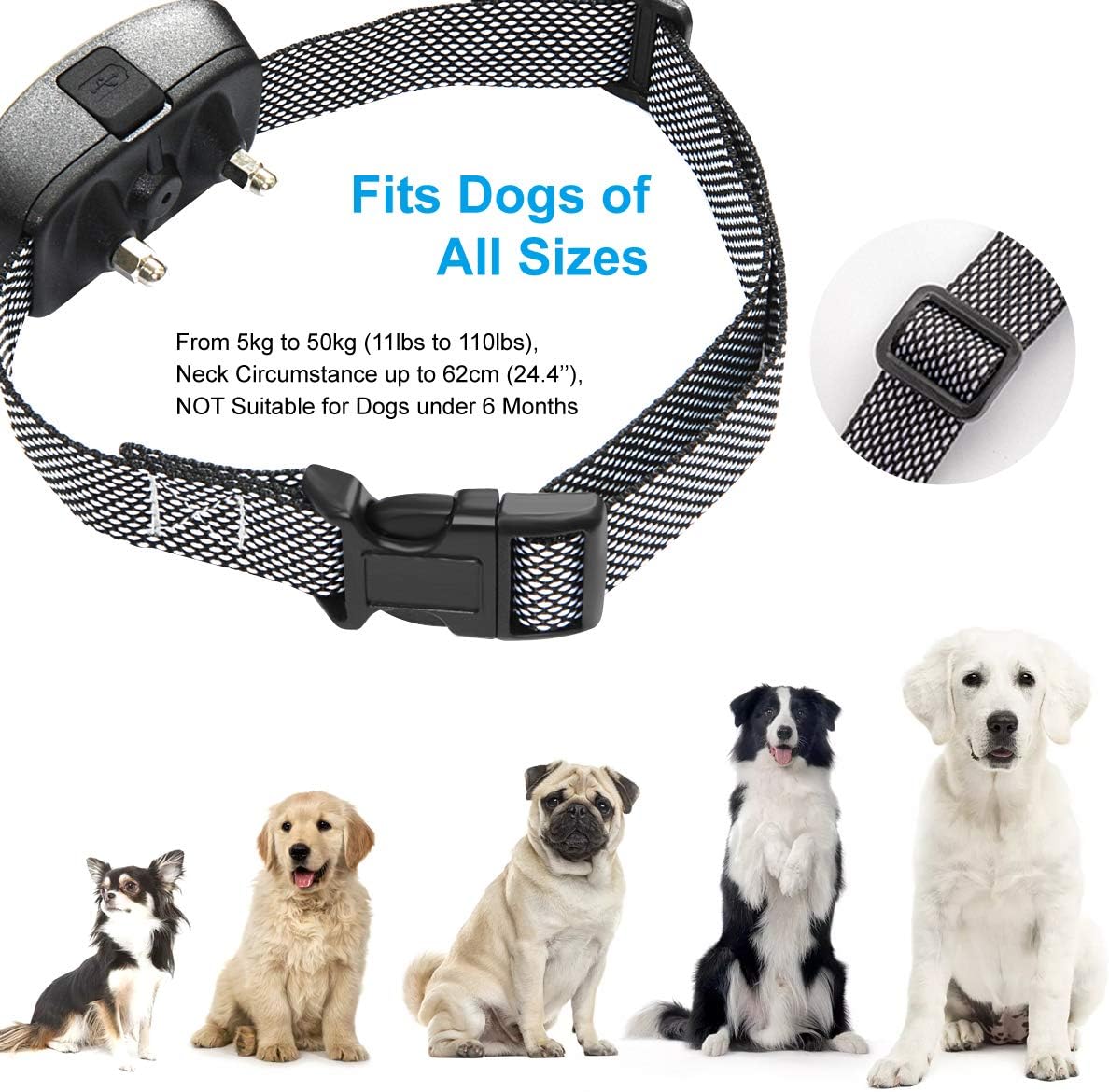 pet corrector collar
