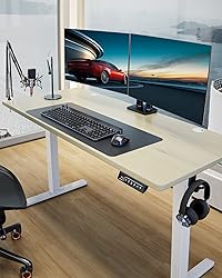 ErGear Height Adjustable Electric Standing Desk, 55