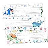 30 Name Tags for Classroom Cubbies, 3x9 in Ocean