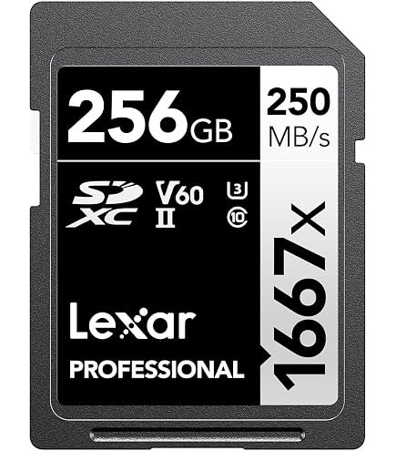 SanDisk 512GB Extreme PRO UHS-II V90 SDXC Memory Card : Amazon.ca
