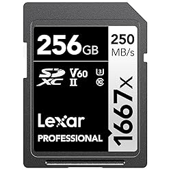 Lexar 256GB Professional 1667x SDXC Memory