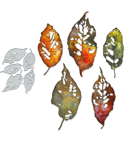 Amazon.com: Sizzix Thinlits Die Set 5PK Leaf Fragments by Tim