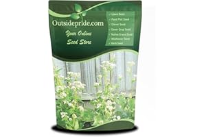 Outsidepride Buckwheat Seeds - 1oz Annual, Fast-Growing, Easy to Grow Buckwheat Cover Crop Seeds for Green Manure, Bee Pasture & Pollinators, Wildlife Habitat, Soil Improvement, and Erosion Control