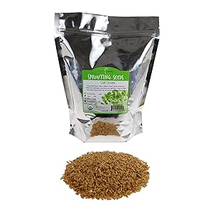 Organic Hulled Oat Groats (Hull Removed): 2 Lbs - Non-GMO Oats - Cereal Grain - Emergency Food Storage, Grains, Rolling for Oatmeal, & More
