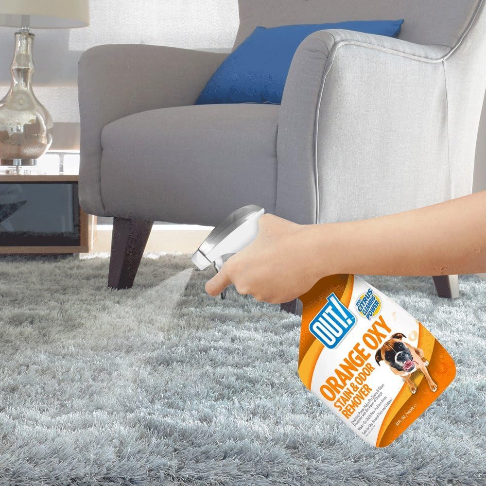 OUT! Orange Oxy Stain and Odor Remover | Pet Stain and Odor Remover | 32 Ounces : Pet Odor Eliminator : Pet Supplies