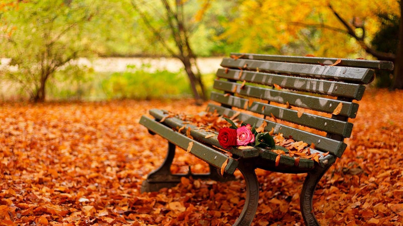 Jigsaw Puzzle 500 Piece for Adults Puzzle 3D Wooden Classic Puzzle Maple Leaves, Roses On The Chair DIY Home Decor 52X38Cm
