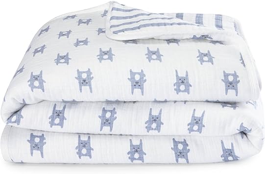 aden and anais flannel muslin blanket