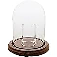 Hand Blown Pocket Watch Glass Cloche Display Dome with Real Walnut Wood Base