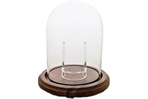 DUEBER WATCH CO Hand Blown Pocket Watch Glass Cloche Display Dome with Real Walnut Wood Base