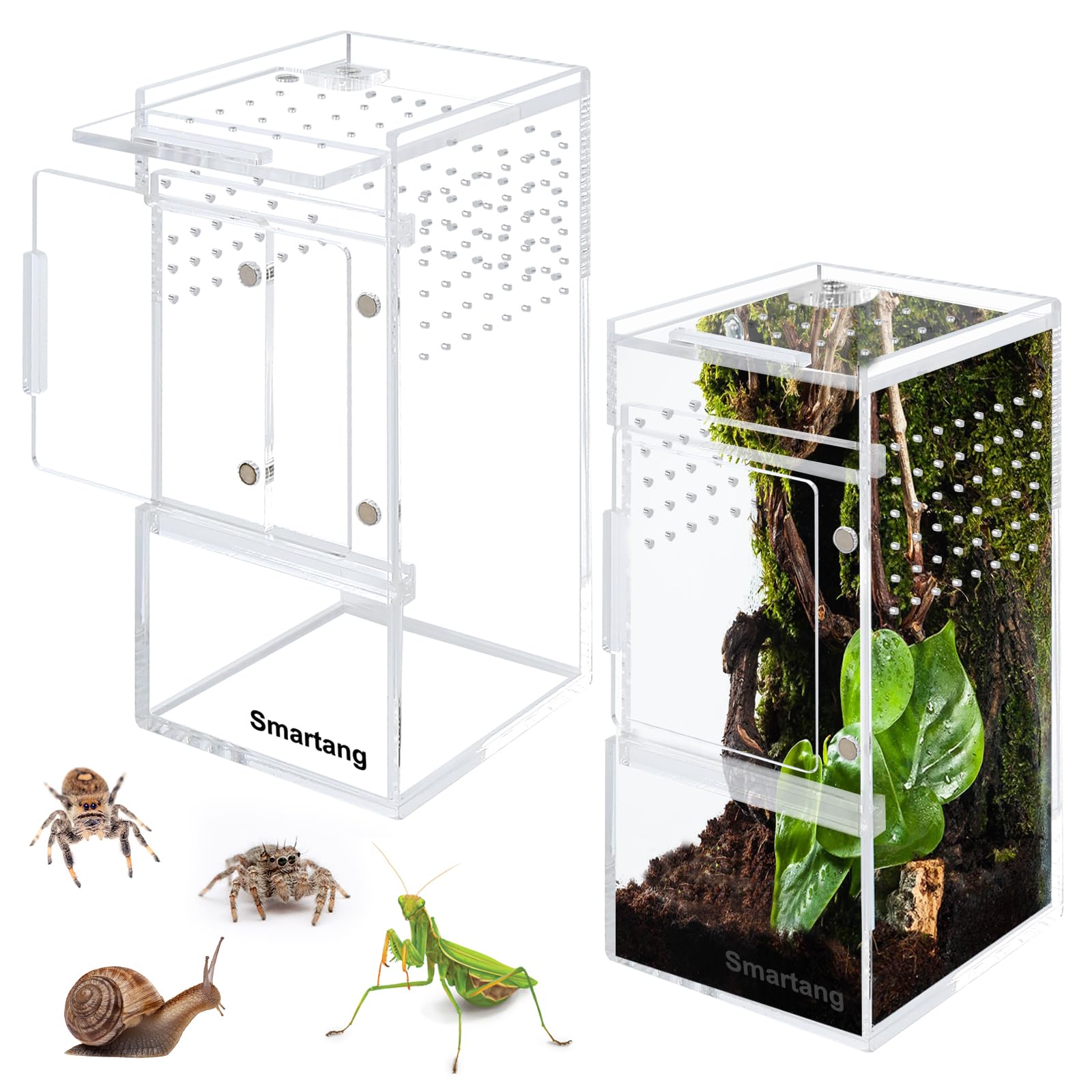 Photo 1 of ?Pre-Assembled? Jumping Spider Enclosure(3"×3"×6") Front Above Opening Praying Mantis Habitat, Jumping Spider Habitat, Arboreal Tarantula Enclosure, Insect Terrarium,Acrylic Terrarium