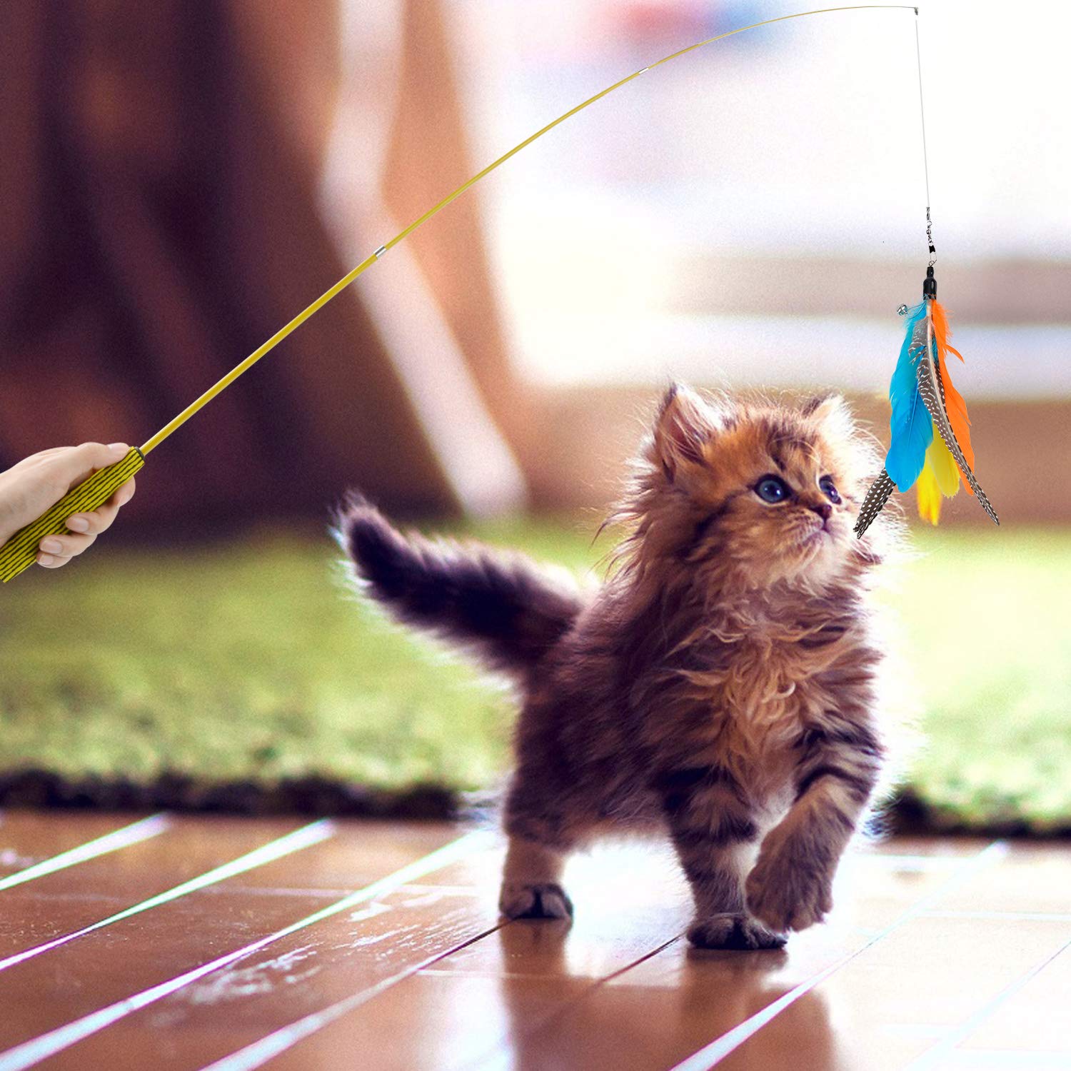Legendog Cat Teaser Wand, Cat Wand Toy With Natural 9 Assorted Feather Teaser With Bell Refills, Interactive Cat Feather Toys For Kitten, Fun Exerciser Playing Feather Cat Toys