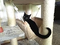 Review Image by lacey lacey